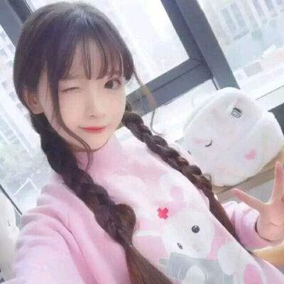 口袋猫咪手游下载